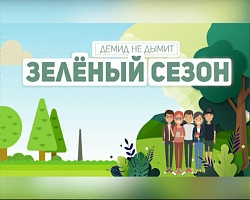 Экологический проект Демидовского университета вышел в полуфинал Всероссийского конкурса «Доброволец России – 2020»